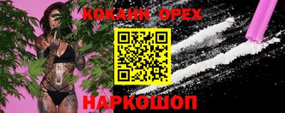 прущие грибы Сланцы