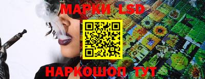 гидра Ставрополь