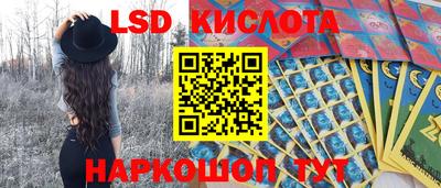 прущие грибы Сланцы