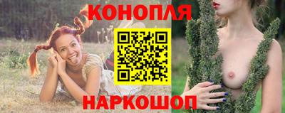 прущие грибы Сланцы