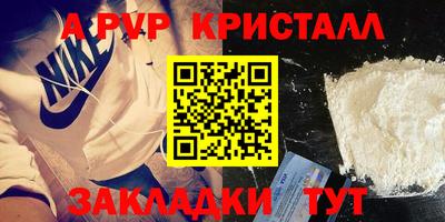 прущие грибы Сланцы