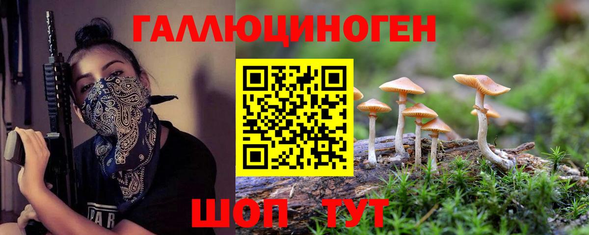 Набережные Челны  Псилоцибиновые грибы мицелий  Вход с VPN 